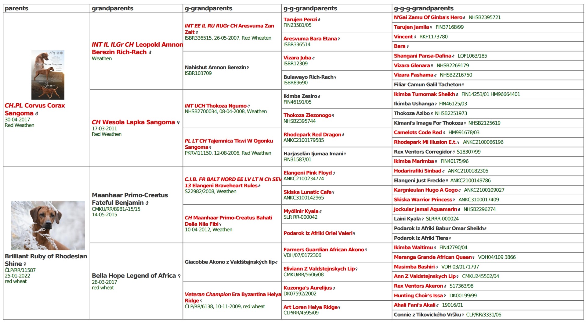 Nepříbuzné spojení doloženo rodokmenem :)